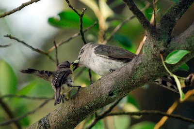 DSC_5345.jpg