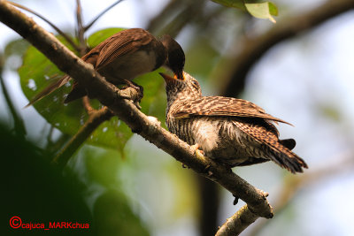 DSC_6473.jpg