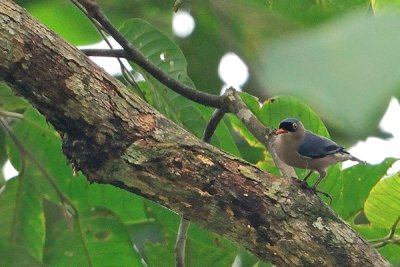 DSC_7531.jpg