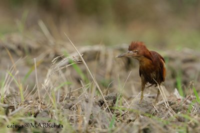 DSC_8974.jpg