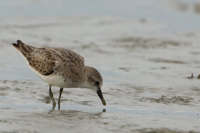 Untitled_stint.jpg