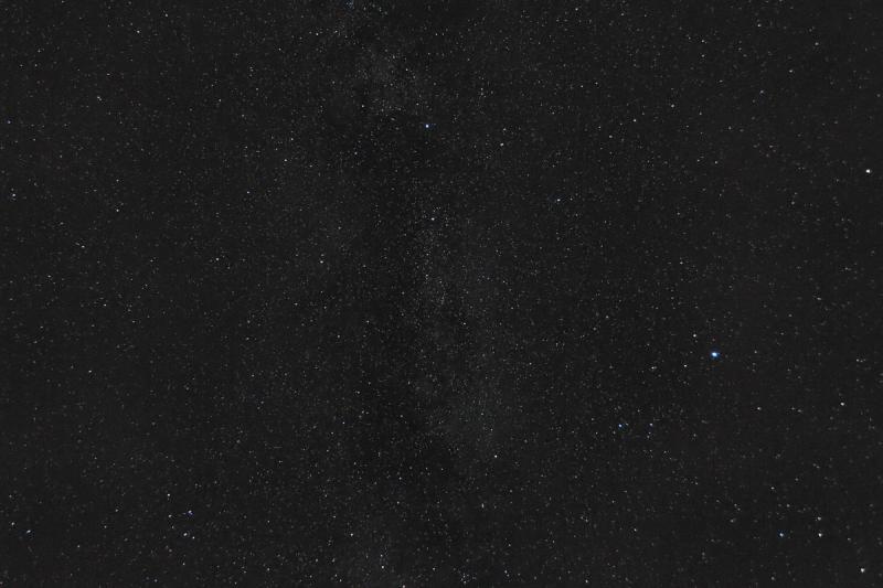 Cygnus