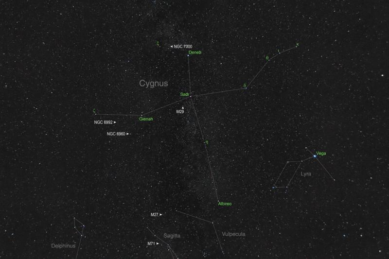 Cygnus