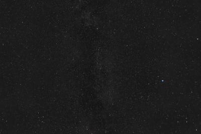 Cygnus
