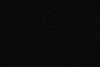 g3/18/530318/3/54093562.Delphinus_90mm_7X15.jpg