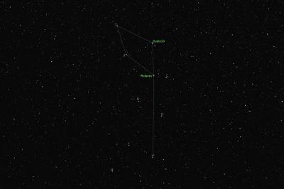 g3/18/530318/3/54093679.Delphinus_90mm_lbl.jpg