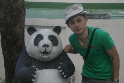 The Panda Fever in Thailand