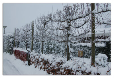 Winter 2010 Valthe (Holland)