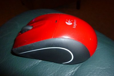 P1000264_2.jpg