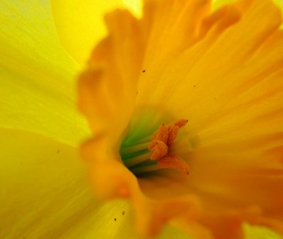 Spring!