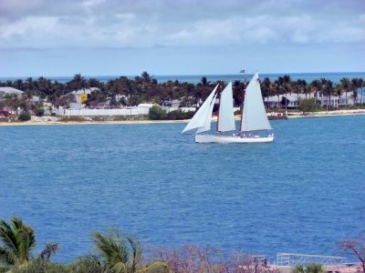 Cruising Key West