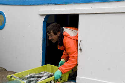 Pesca en Puerto Fisterra