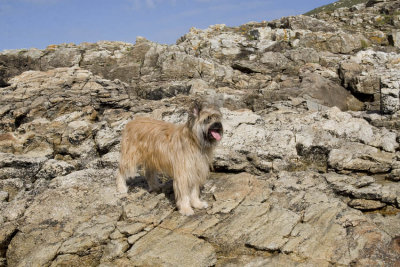 Urielle en Mar da Fora