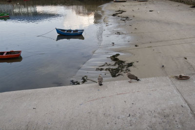 Puerto de Fisterra