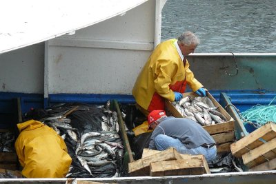 Pescadores Fisterra