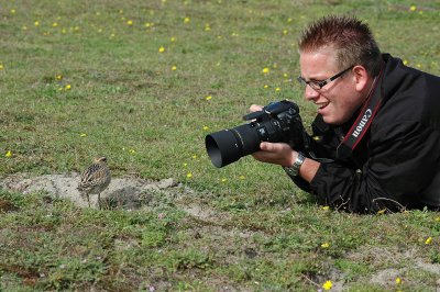 Me and the Dotterel / Ik en de Morinelplevier