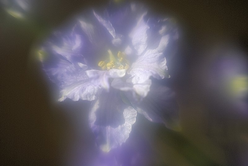 Resize of _DSC0263.jpg