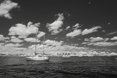 Resize of _DSC7388.jpg