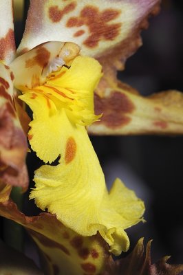 Resize of _DSC3659.jpg