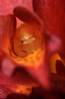 Resize of _DSC4416.jpg
