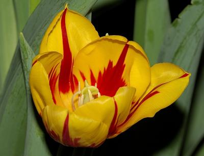 Resize of _DSC4904.jpg
