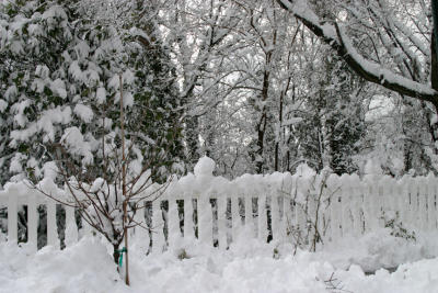 Snow Fence.jpg