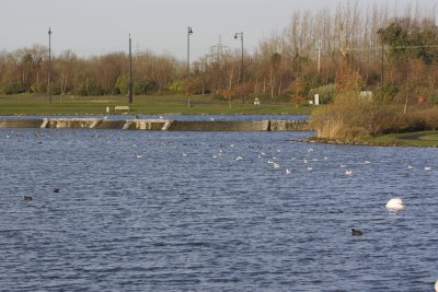 Grange Castle Wildlife Area