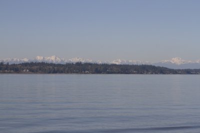 g3/18/623318/3/122650748.mTq9SbG6.jpg