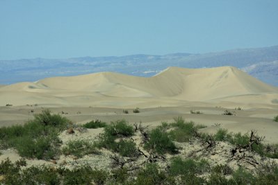 IMG_4391a.jpg