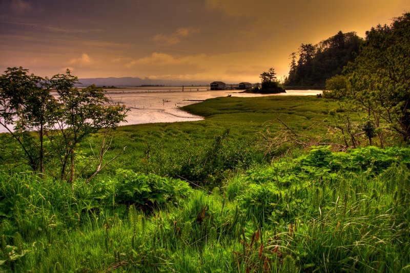 Cape Disappointment State Park (3), Long Beach, Washington, USA