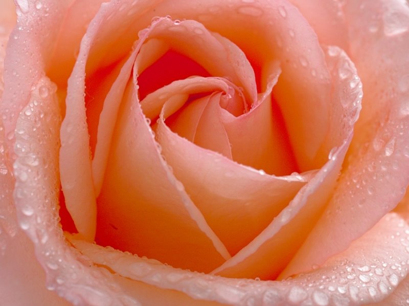 So(ul) Refreshing :  )