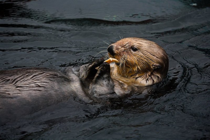 Munch time