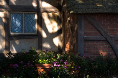A shady garden, Epcot, Disney World