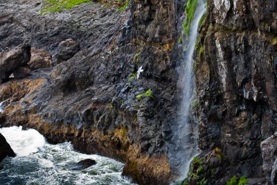 Coastal Water Falls, Oregon Coast