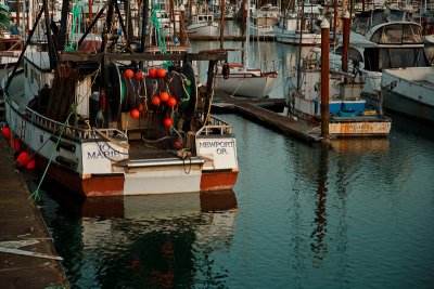 Another day, Brookings Harbor, Oregon
