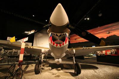 WWII Plane 3 (P-40 Warhawk)