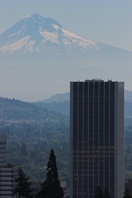 Mountain View 2