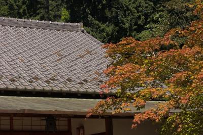 Roof 1