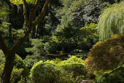 Pond and Bridge
