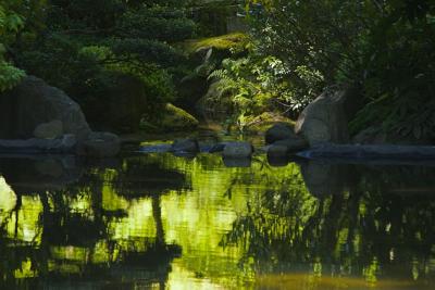 Pond Reflection 1