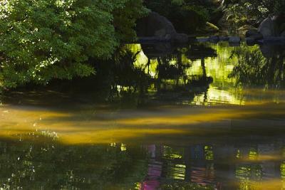 Pond Reflection 2