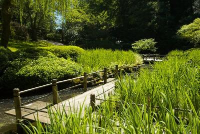 Pond Walkway 1