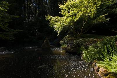 Pond 1
