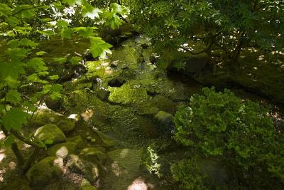 Creek