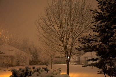 Wintery neighbourhood