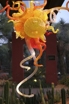 Chihuly Exhibit @ The Phoenix Botanical Gardens