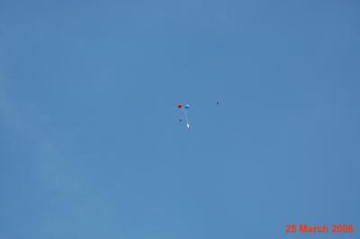 Rockets 060325-12.JPG
