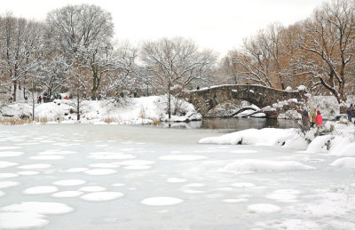 Central Park, NY