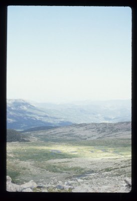 049_07b.jpg