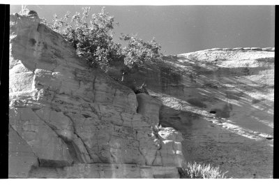 owl resting on a ledge   /   041_18.jpg